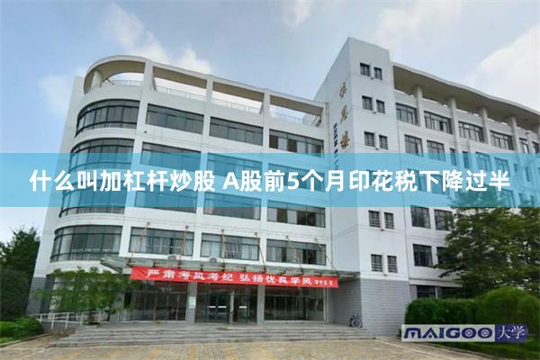 什么叫加杠杆炒股 A股前5个月印花税下降过半