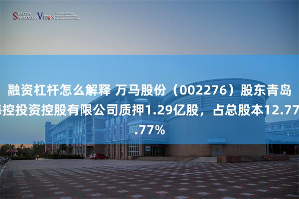融资杠杆怎么解释 万马股份（002276）股东青岛海控投资控股有限公司质押1.29亿股，占总股本12.77%