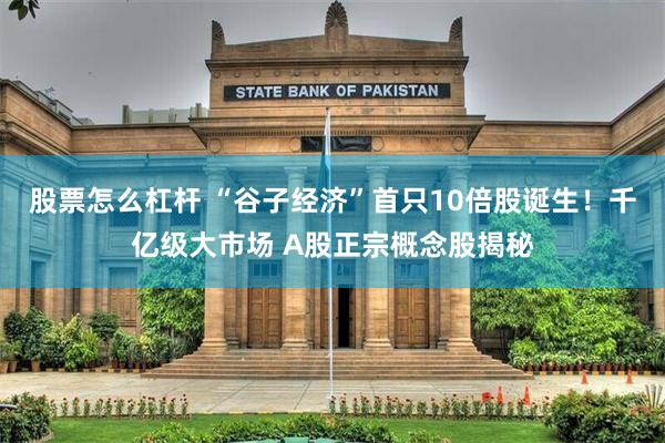 股票怎么杠杆 “谷子经济”首只10倍股诞生！千亿级大市场 A股正宗概念股揭秘