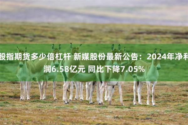 股指期货多少倍杠杆 新媒股份最新公告：2024年净利润6.58亿元 同比下降7.05%