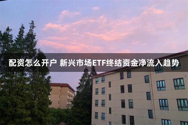 配资怎么开户 新兴市场ETF终结资金净流入趋势
