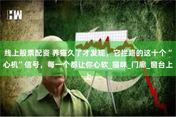 线上股票配资 养猫久了才发现，它拦路的这十个“心机”信号，每一个都让你心软_猫咪_门廊_窗台上