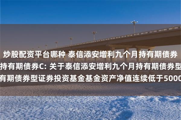 炒股配资平台哪种 泰信添安增利九个月持有期债券A,泰信添安增利九个月持有期债券C: 关于泰信添安增利九个月持有期债券型证券投资基金基金资产净值连续低于5000万元的提示性公告