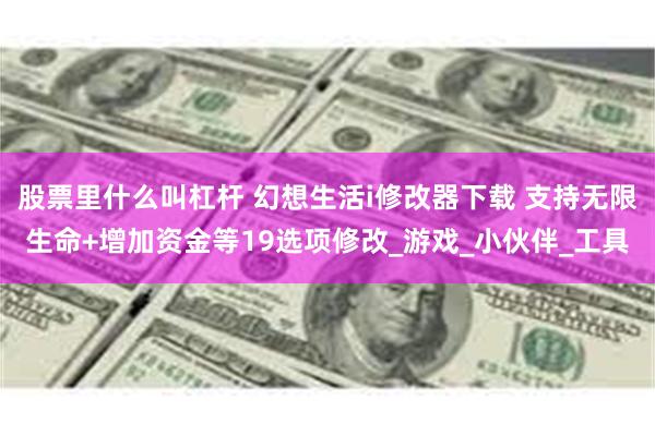 股票里什么叫杠杆 幻想生活i修改器下载 支持无限生命+增加资金等19选项修改_游戏_小伙伴_工具