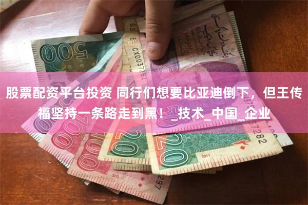 股票配资平台投资 同行们想要比亚迪倒下，但王传福坚持一条路走到黑！_技术_中国_企业
