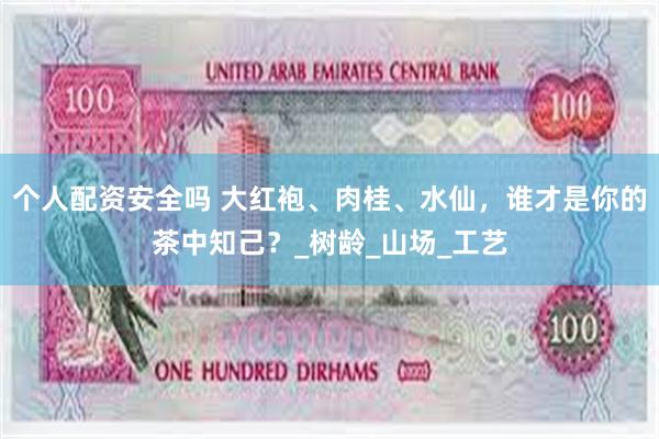 个人配资安全吗 大红袍、肉桂、水仙，谁才是你的茶中知己？_树龄_山场_工艺