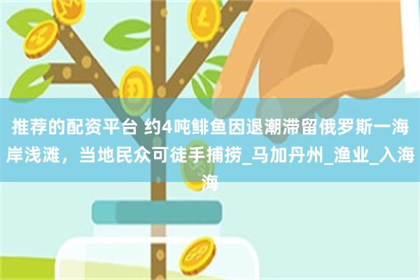 推荐的配资平台 约4吨鲱鱼因退潮滞留俄罗斯一海岸浅滩，当地民众可徒手捕捞_马加丹州_渔业_入海