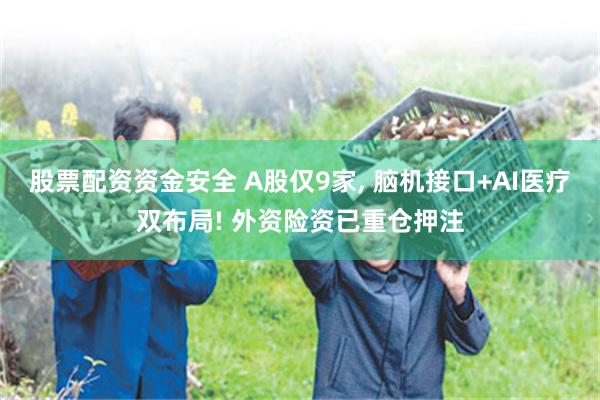 股票配资资金安全 A股仅9家, 脑机接口+AI医疗双布局! 外资险资已重仓押注