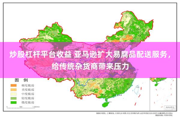 炒股杠杆平台收益 亚马逊扩大易腐品配送服务，给传统杂货商带来压力